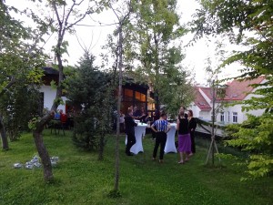 AICA AUSTRIA Kunstkritikpreis 2017. Dachgarten Hundertwasser-Wohnung im Kunst Haus Wien // SBV